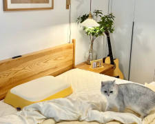 这是我见过最温馨的家，全屋布置得简约又舒适