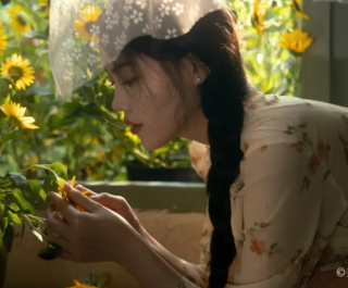 向日葵美女，这一组拍得真的好美