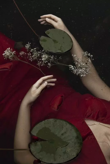 摄影师Monia Merlo作品